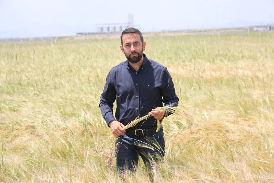 Konya'da buğday rekoltesinde beklenti ne kadar?  ZMO Konya Şube Başkanı Kırkgöz açıkladı 5